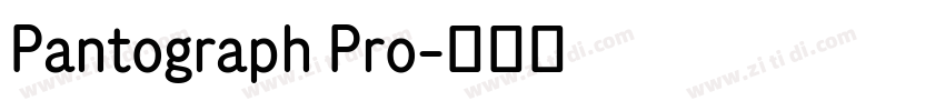 Pantograph Pro字体转换